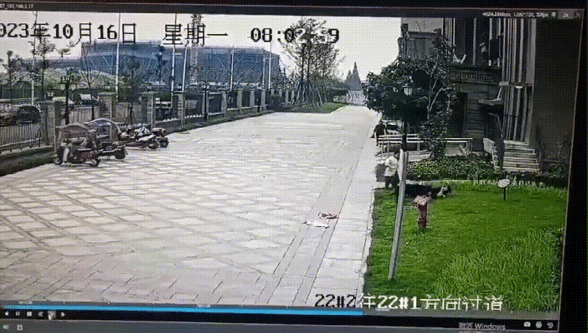 黑狗事件主人家庭背景曝光：两栋豪宅，三只狗，与父疏远十年！图片