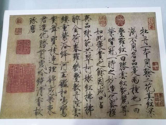 《龙子夺魁！宋徽宗三子赵楷偷考科举竟中状元，康熙甘拜下风！》