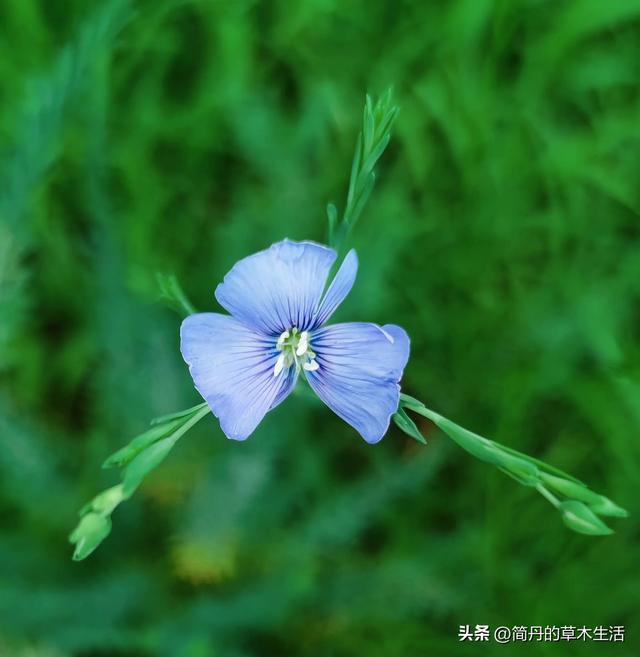 骑上我的小毛驴去遛弯