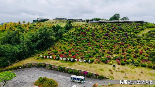 儋眉城市联动宣传特别报道丨东坡文化泽后世 “CP”双城谱新韵