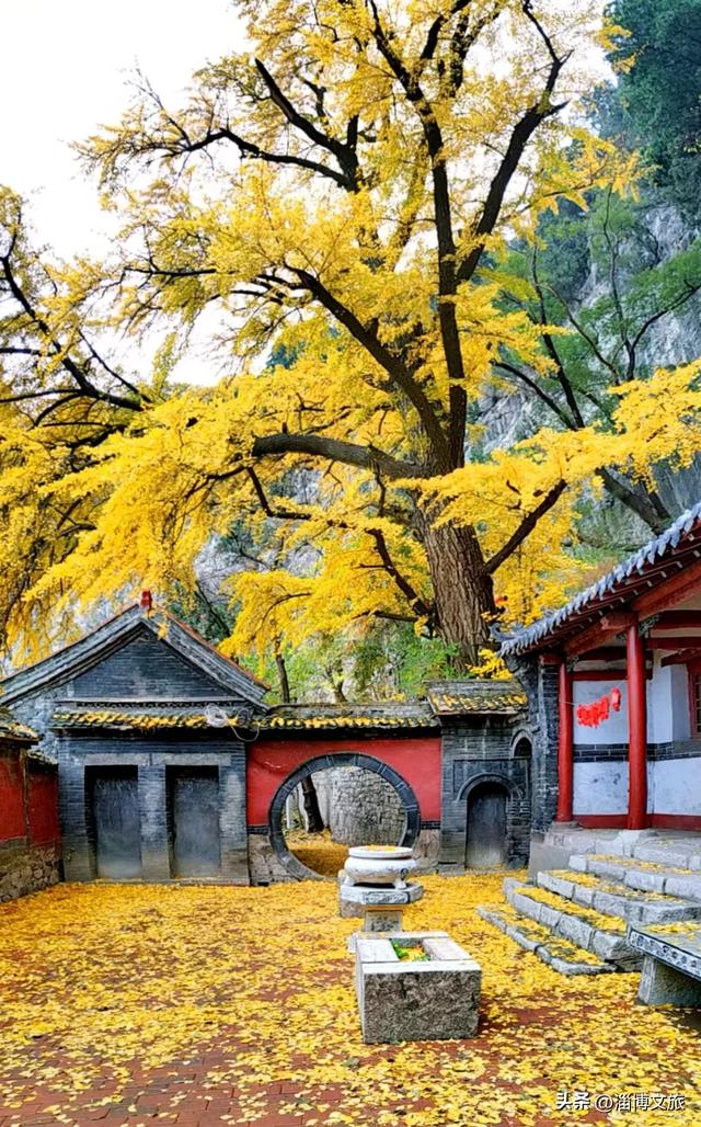 调色盘打翻了?接下来的淄博,是封神级别的美!