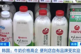 中国冰淇淋，在韩国火了！怎么回事？图片