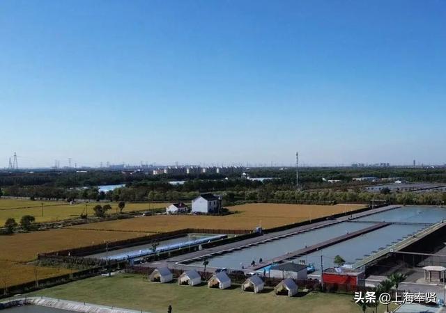 在庄行渔沥，抛一竿清风，钓满眼诗意