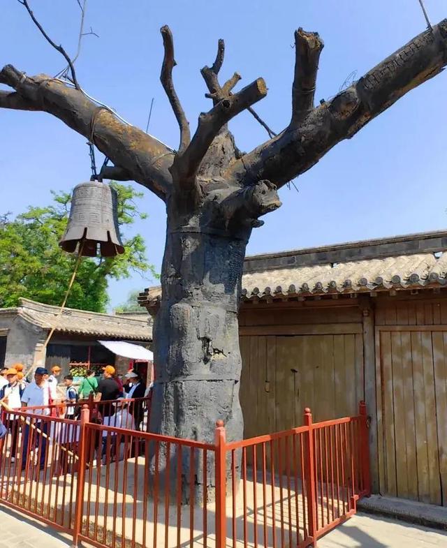 仅在河北保定市，藏有全球“独一无二的10大奇景”，绝无仅有