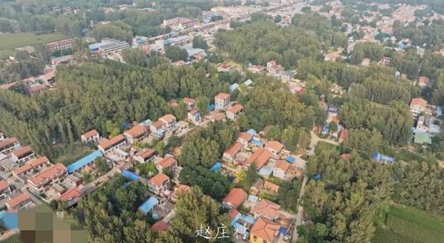 魅力曹县楼庄镇