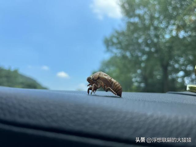 炎炎夏日去泰山西麓曹家庄后山里的隐佛崖打泉水吃炖鸡