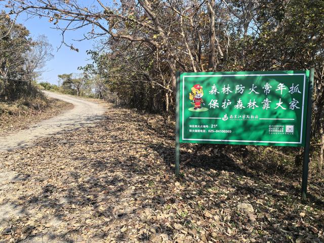 南京龙尚湖，大连山，佘村一日郊野徒步