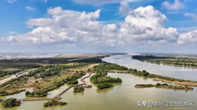 【情满双节游东营】月圆黄河口 情满中秋节