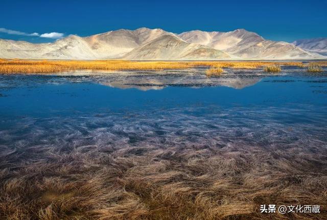 世界级风景，全部0元！西藏阿里这份“免费景点”清单请收好！