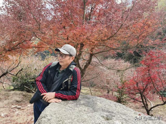 蓝山谷记：与十万株红枫的相遇