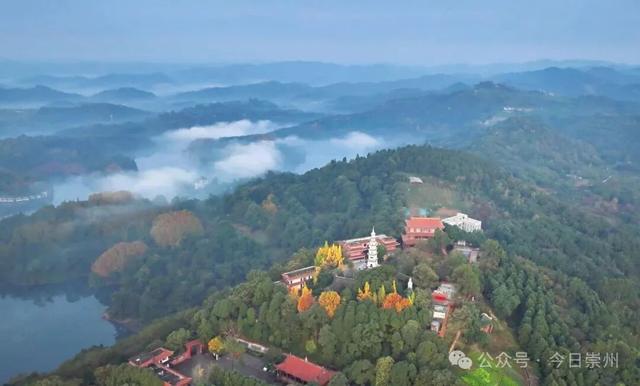 速来→崇州正上演初冬金色浪漫大片！