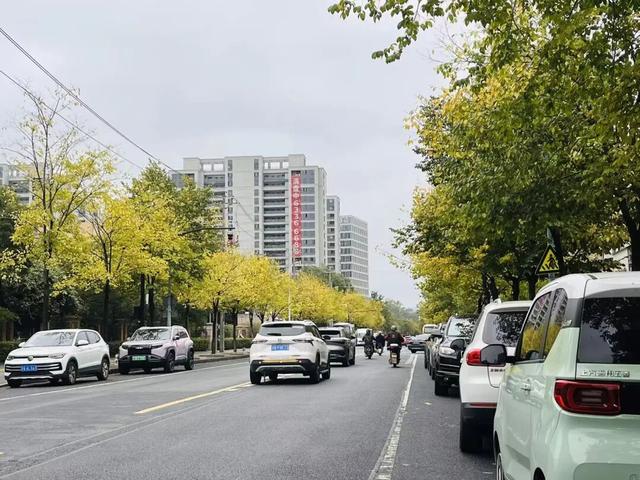 抓紧打卡！富阳人家门口的宝藏美景，错过要等明年！