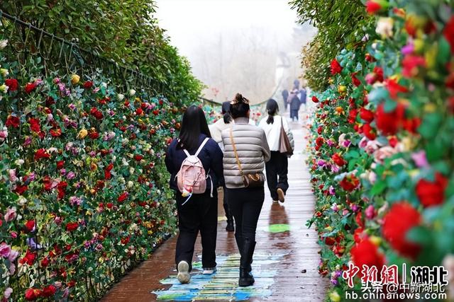 湖北利川佛宝山：丛林飞瀑引游人