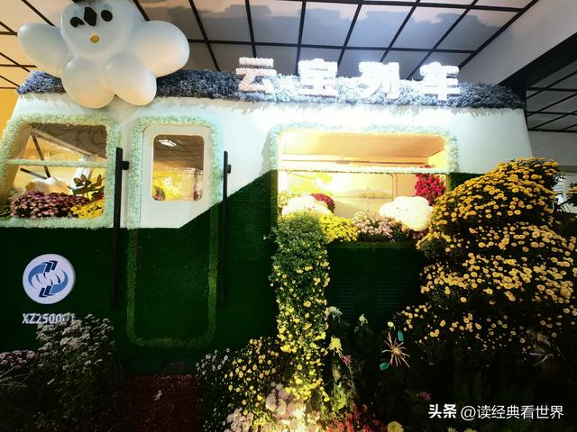 杭州植物园的菊花展——一场关于菊花的饕餮盛宴（二）