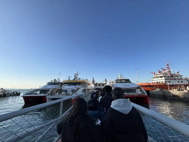 一座桥火了一片海：“意料之外，情理之中”