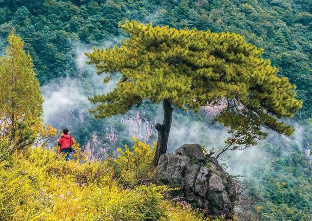 徽县嘉陵镇：藏在山水间的诗意桃源 “乡野如诗”摄影专题