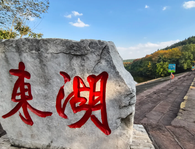 先收藏！成都1h直达最美水杉公园，小众人少、景美出片！