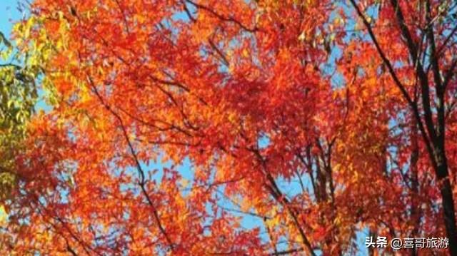 长春周边冰雪仙境！海拔近500米生态覆盖率87%，曾是皇家避暑圣地