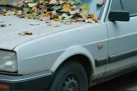 私家车不开最多能停放多少天？图片