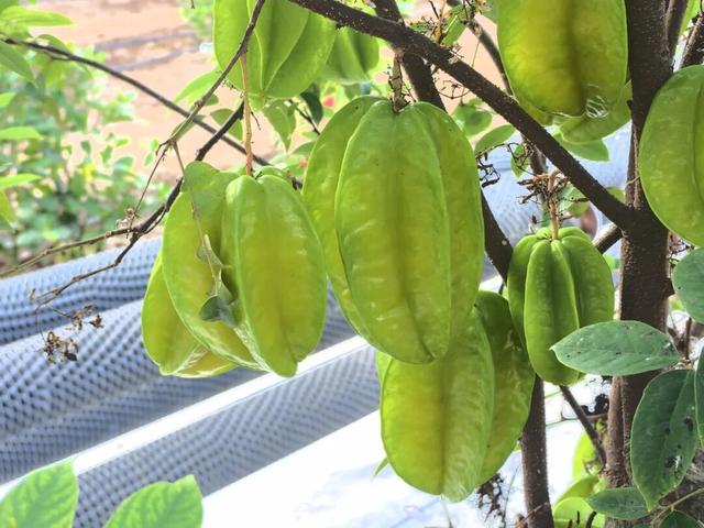 太全面了！8条游玩线路+京郊汤泉！带您玩转北京这里！（1）