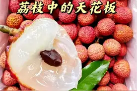 荔枝界的“六大顶流”：妃子笑仅排第五，谁才是你的心头好图片