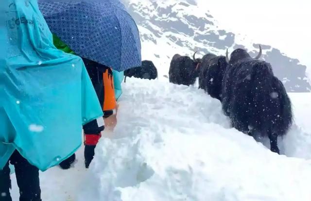 珠峰徒步像逛公园？近千人被困暴雪，真实经历堪比鬼门关！