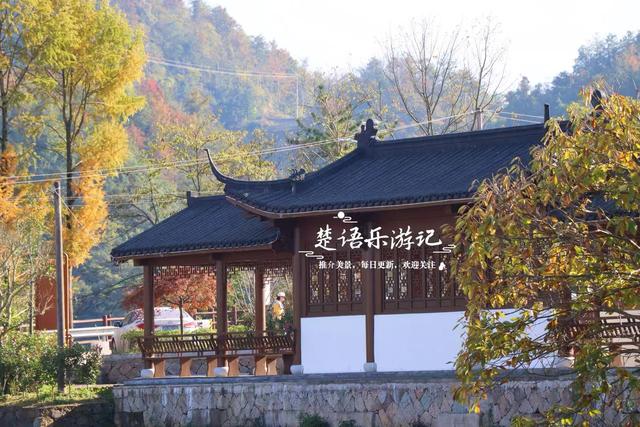 浙江绍兴这个山村火了，吊红柿子漫山红遍，美如童话却免费开放