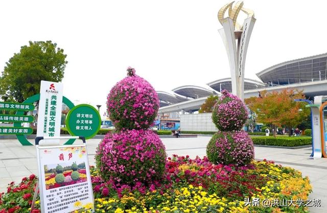 武汉洪山区第38届金秋菊展华美启幕