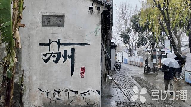 大寒遇初雪，苏州平江路银装引客来