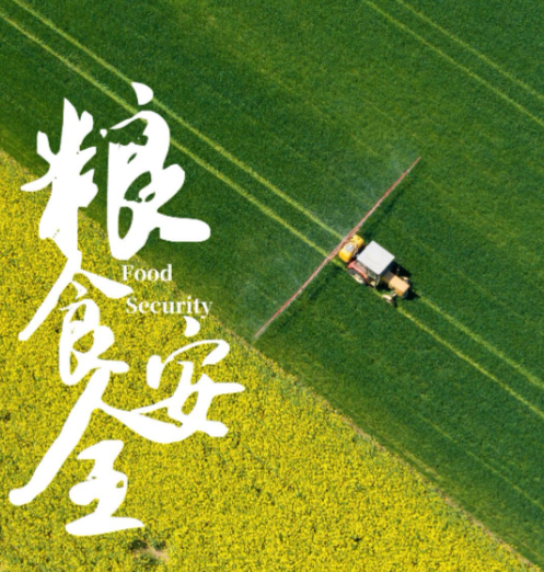 境外间谍盯上中国粮食安全"命根子"！几粒种子能动摇14亿人饭碗？