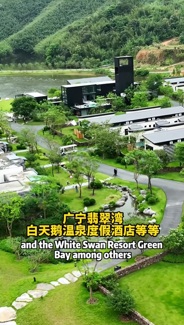 火了！肇庆大叔用英文推介家乡！厄瓜多尔网友：准备组团↘