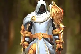 白金相间，魔兽世界正式服圣骑士幻化分享，附调料包-3.30图片