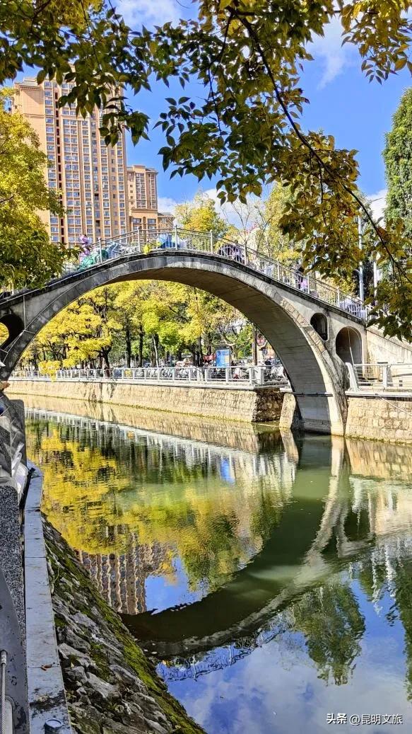 全屏“封神”!这可是昆明初冬的超绝顶流!保姆级攻略来袭,趁天晴立马冲!