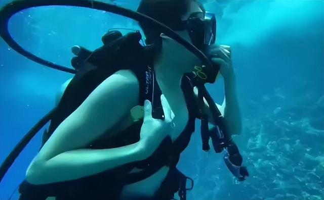 惊险！女子生理期潜水被鲨鱼咬伤，专家：血腥味有刺激