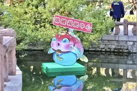趵突泉景区回应设“锦鲤减肥中心”：只是提醒不要投喂，帮鱼减肥是误传图片