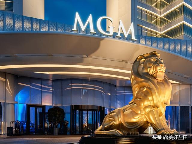 元旦别宅家！和南极萌企鹅共赴小梅沙新年狂欢