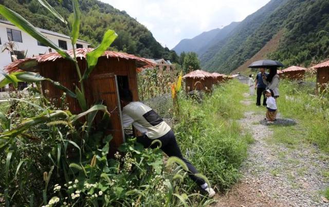“山村收菜计划”再升级！杭城一批亲子家庭上周末驱车200公里赶到这个海拔600多米的小山村……