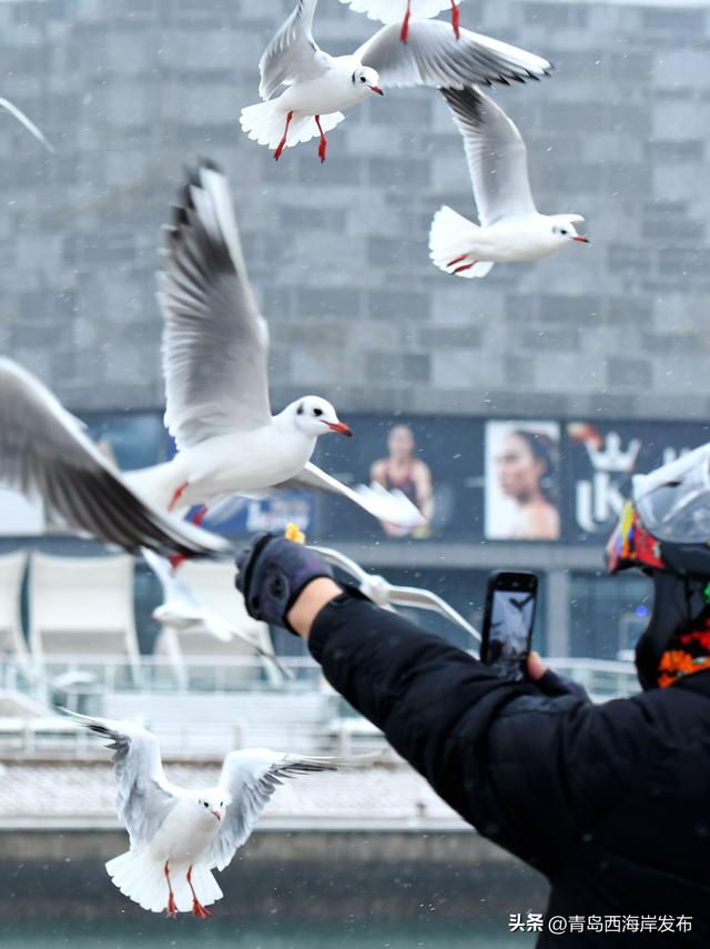 雪后西海岸，美成童话！