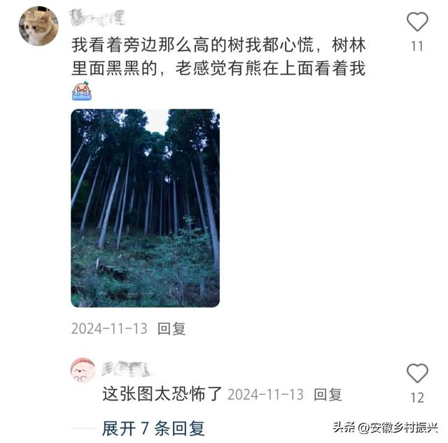 第一批抵达网红景点的游客，已被诈骗......