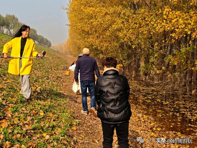 从西安出发1小时，隐藏在高陵河堤路边水上森林，美的令人窒息！