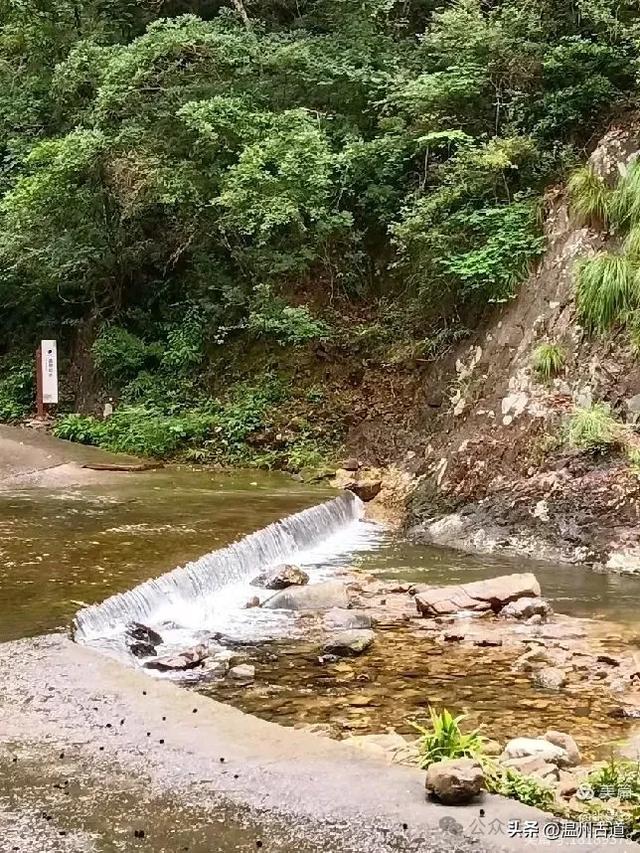 探秘雁荡三绝之一的绝美风光!来一次深度游~