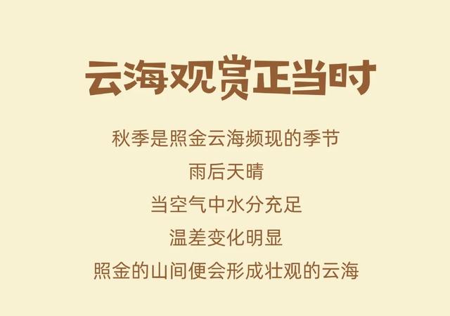 云海的照金，美如仙境！