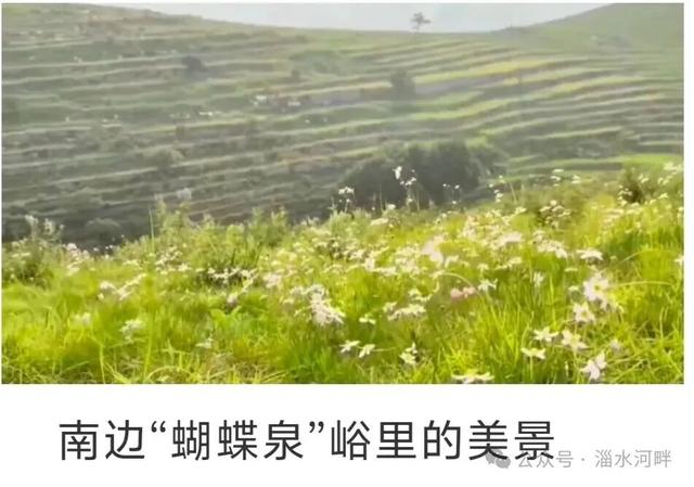 “老家”追忆杂记之四—— 我的“岭西大草原”（上）