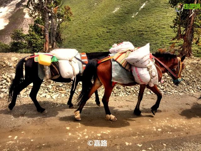 中国最后一条"野性进藏路"即将消失！10年前的越野地狱今成了坦途