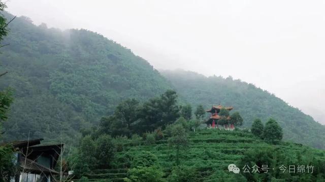 露营、品茗、烧烤…… 绵竹这处秘境太诱人了！赶紧冲……