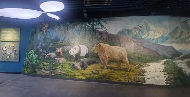 观山·阅史·体验·品文化 | 四座博物馆，四种维度，解锁一个立体的四姑娘山