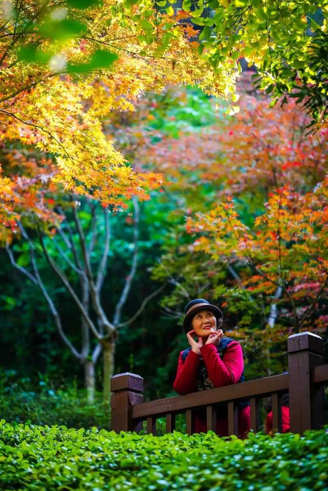 重庆园博园美出新高度！随手一拍都超超超出片→