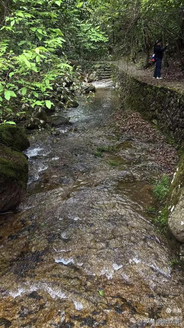 真正的小众避暑胜地！这方秘藏于千米高山之上的清凉秘境等你来！