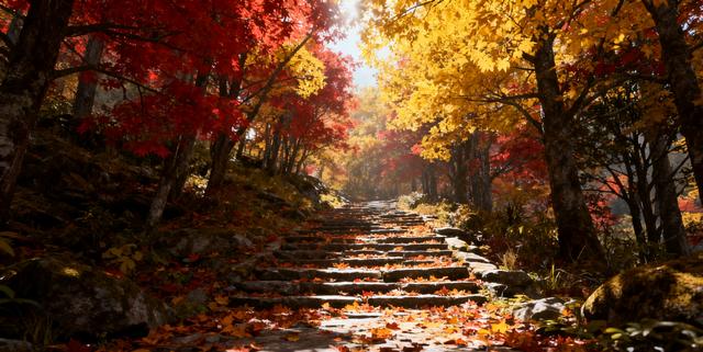 唐家河的秋：把山河晕成了打翻的颜料盘