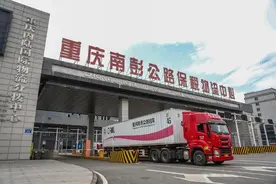重报深一度|重庆与东南亚做贸易 为何越南金额最大图片